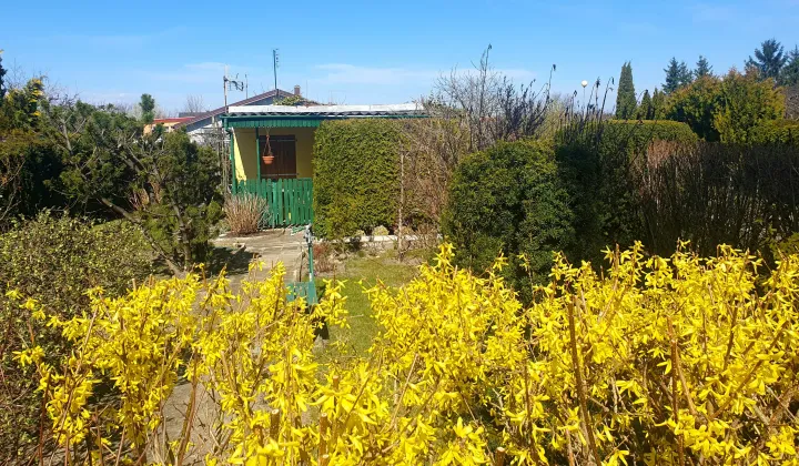 Działka rod Konin Wilków, ul. Świętojańska