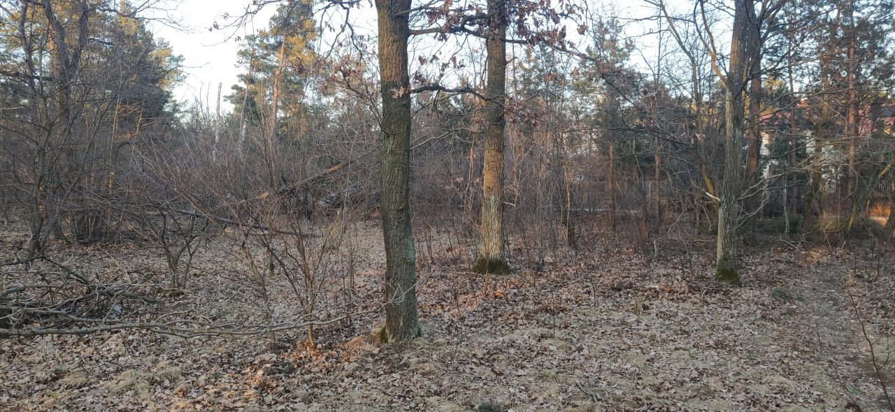Działka leśna Warszawa Białołęka, ul. Insurekcji. Zdjęcie 4