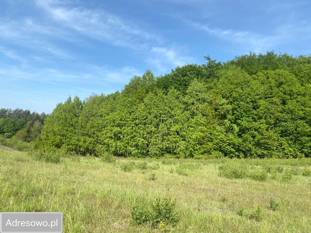 Działka budowlana Częstocin. Zdjęcie 11