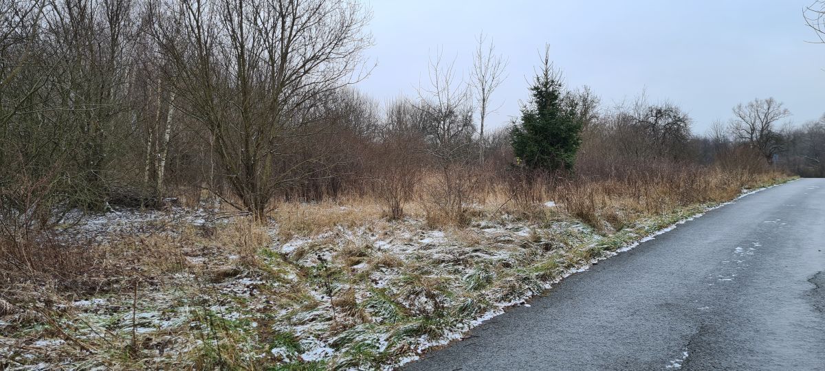 Działka budowlana Stary Wielisław. Zdjęcie 5