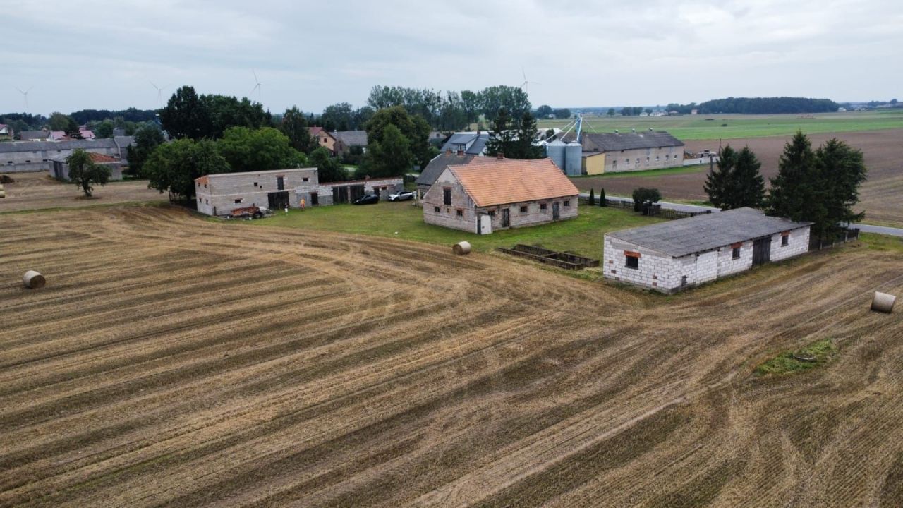 siedlisko Pruszcz. Zdjęcie 5