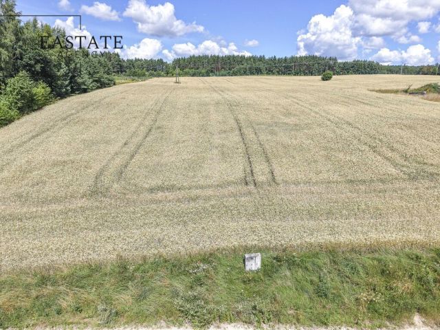 Działka budowlana Koleczkowo. Zdjęcie 11