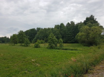 Działka budowlana Głuchów-Lasy. Zdjęcie 1