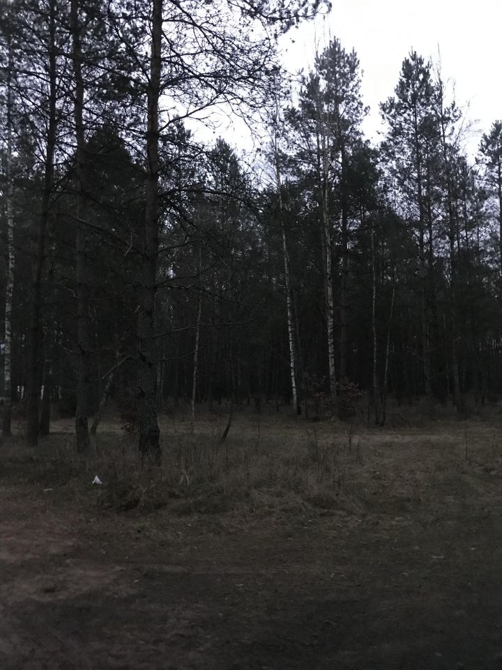 Działka budowlana Jerutki. Zdjęcie 5