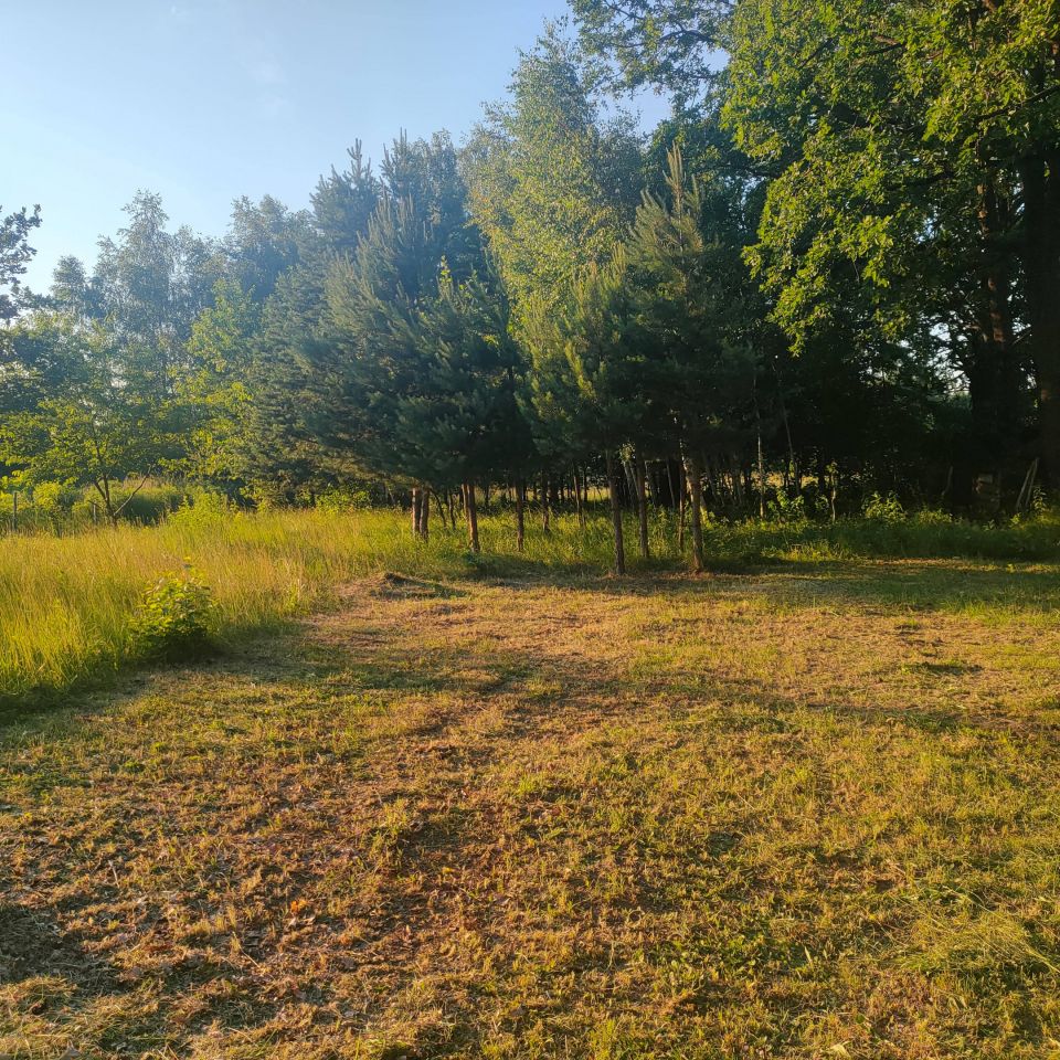 Działka rolno-budowlana Milanówek Kazimierówka, ul. Kazimierzowska. Zdjęcie 8