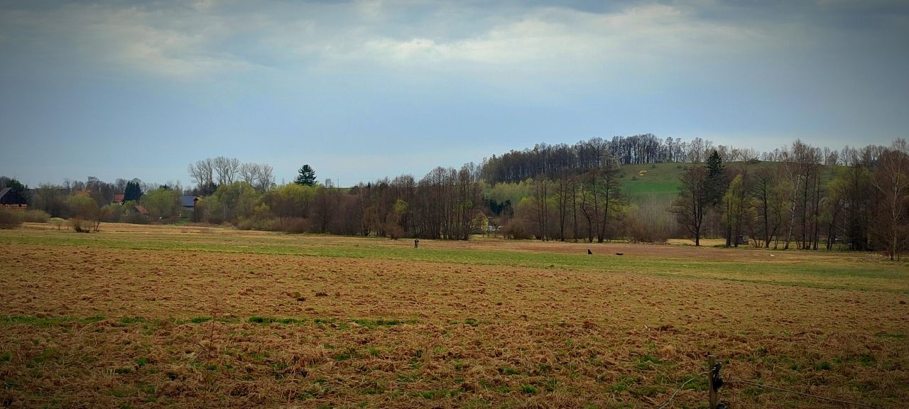 Działka inna Milęcice. Zdjęcie 2