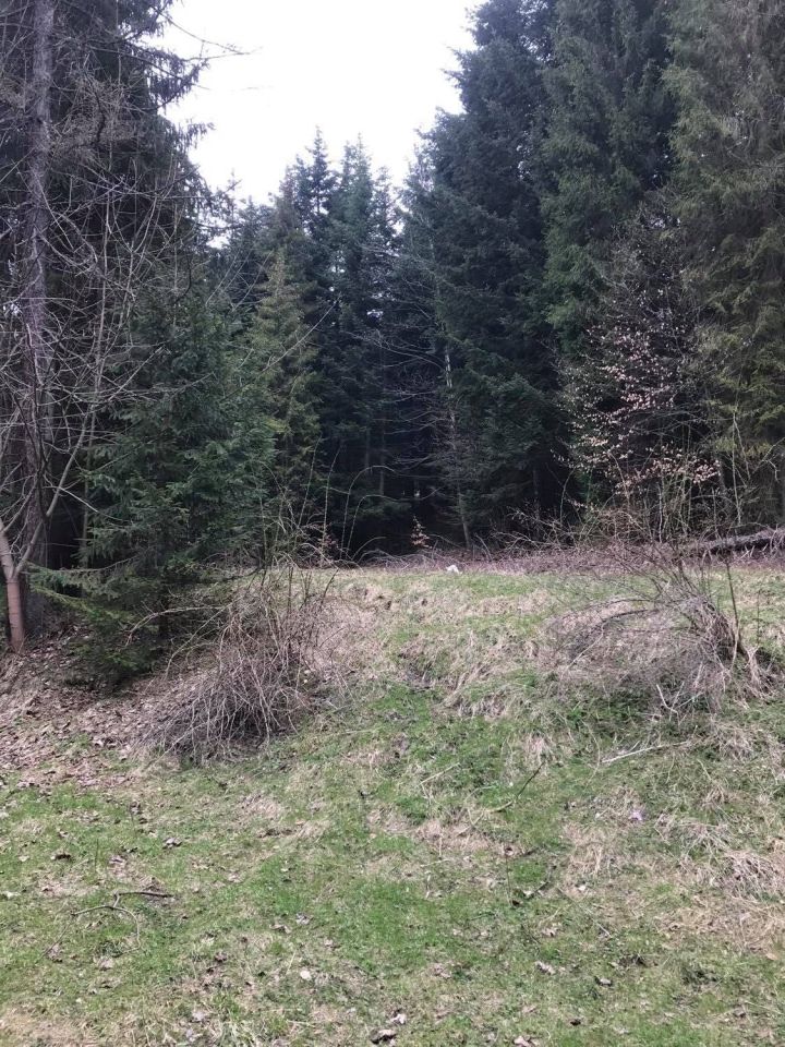 Działka rekreacyjna Zawoja Smyraki. Zdjęcie 2