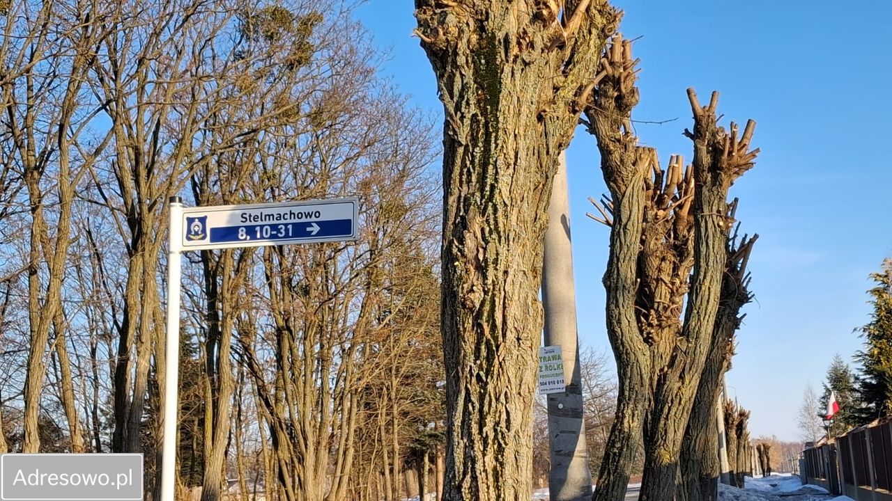 Działka budowlana Stelmachowo. Zdjęcie 3