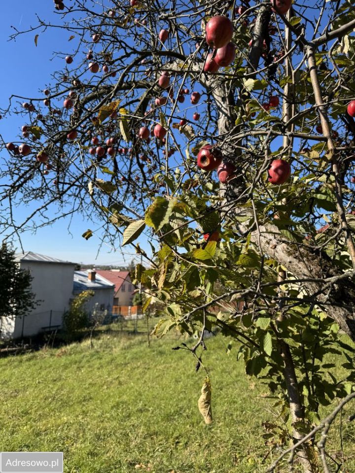 Działka budowlana Krosno, ul. ks. Władysława Sarny. Zdjęcie 4