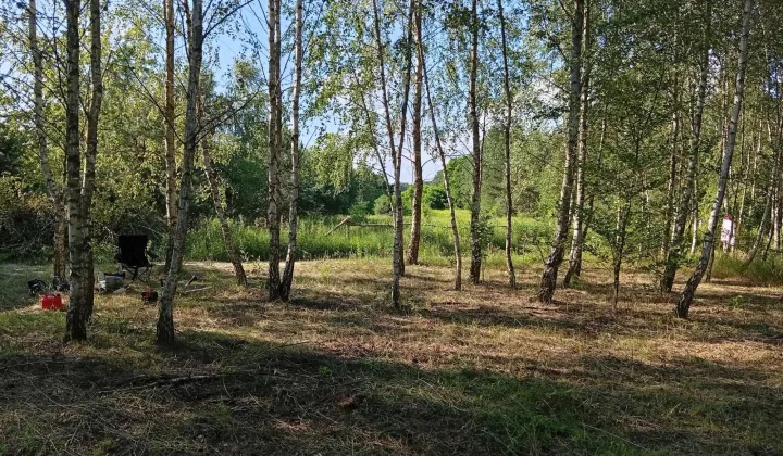 Działka budowlana Wilamy
