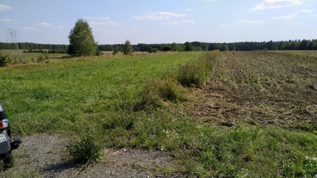 Działka rolna Przyłanki. Zdjęcie 1