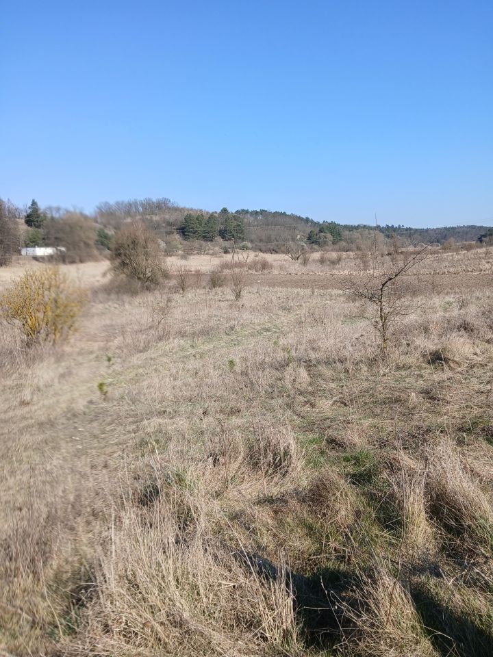 Działka rolno-budowlana Widuchowa, ul. Nadodrzańska. Zdjęcie 6