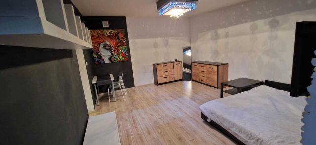 Mieszkanie 1-pokojowe Łódź Polesie, ul. Jana Pietrusińskiego. Zdjęcie 1