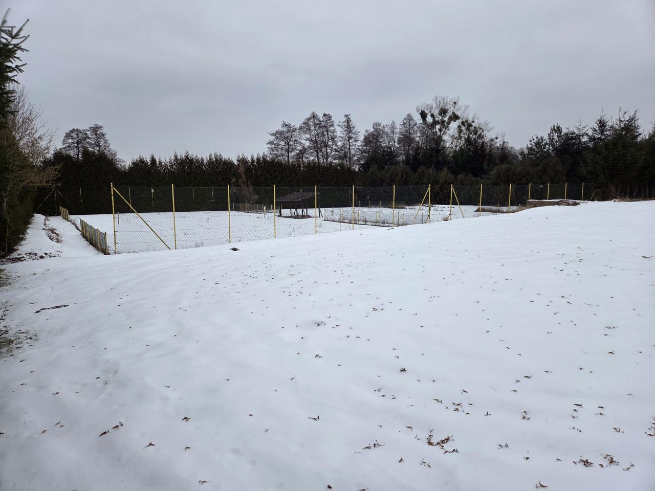 dom wolnostojący, 7 pokoi Strączno. Zdjęcie 85