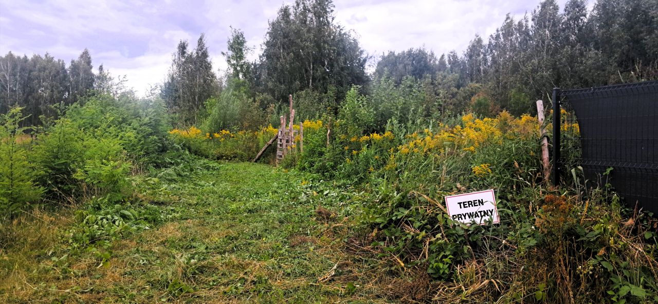Działka budowlana Budy-Grzybek, ul. Alpejska. Zdjęcie 3