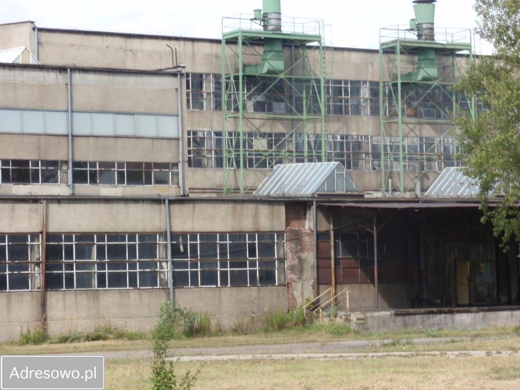 Hala/magazyn Ząbkowice Śląskie. Zdjęcie 4