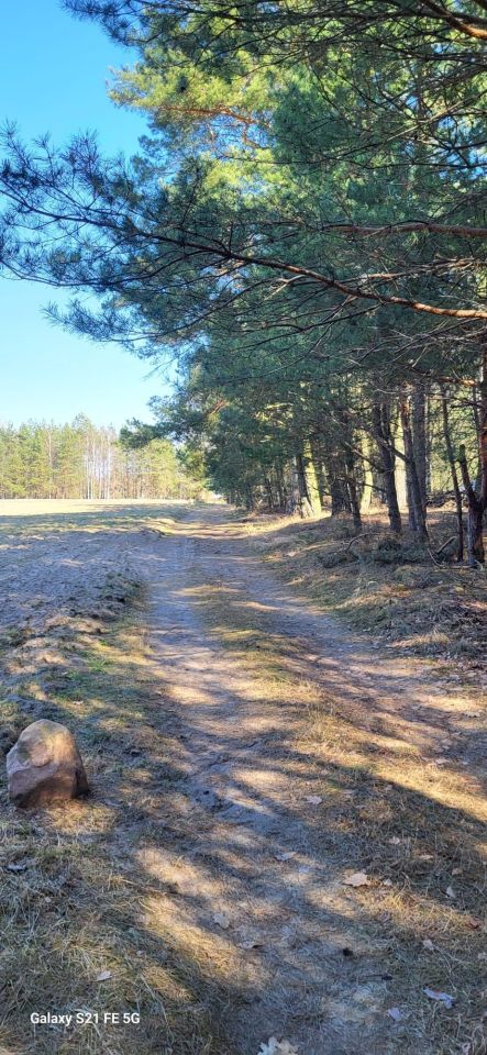 Działka Ulaski. Zdjęcie 6