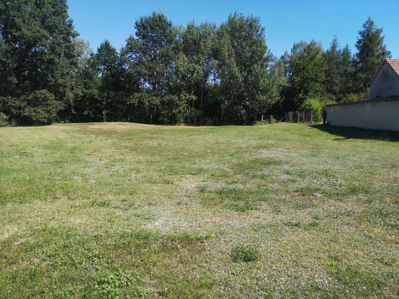 Działka budowlana Sośnicowice, ul. Smolnicka. Zdjęcie 4