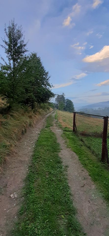 Działka rolna Pewel Wielka. Zdjęcie 9