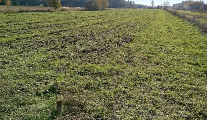 Działka budowlana Działki Suskowolskie