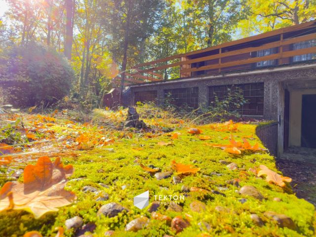 Działka leśna Warszawa Stara Miłosna, ul. Torfowa. Zdjęcie 13