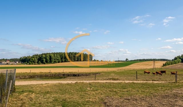 Działka budowlana Przetoczyno, ul. Sami Swoi. Zdjęcie 9