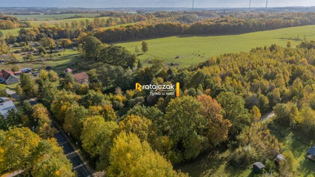 Działka budowlana Ciekocino, Dębowa. Zdjęcie 4