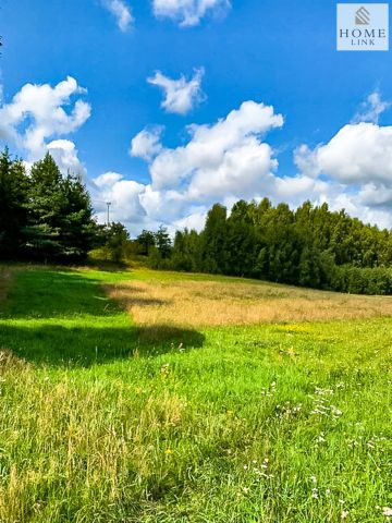 Działka rolna Jarandowo. Zdjęcie 19