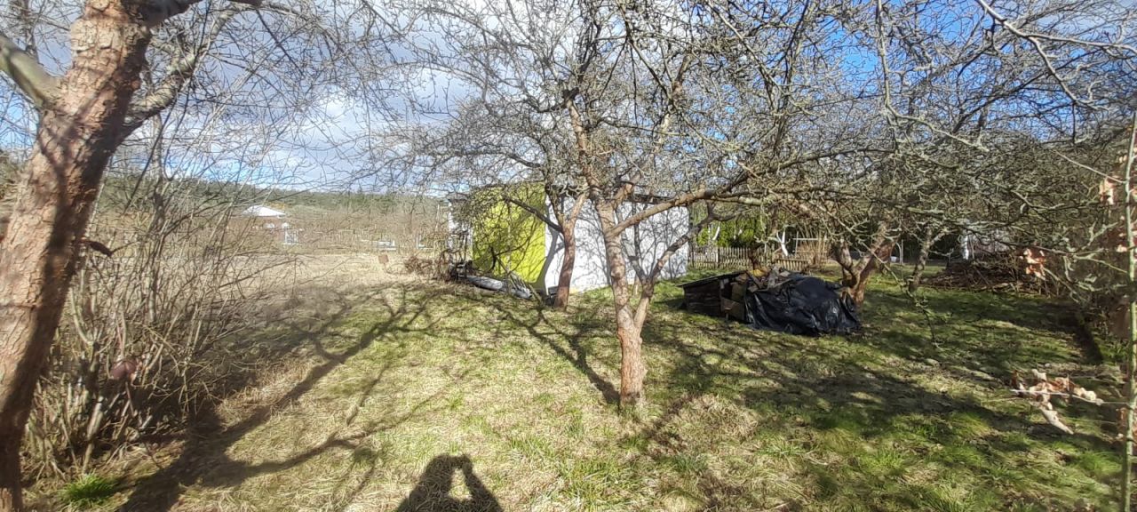 Działka rod Zielona Góra Ochla, ul. Ochla-Kożuchowska. Zdjęcie 11