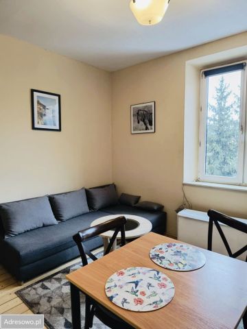 Mieszkanie 1-pokojowe Kraków Podgórze, ul. Radosna. Zdjęcie 1