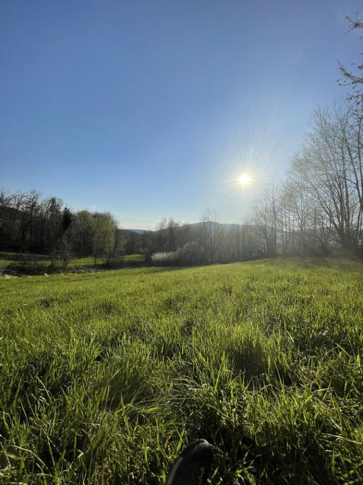 Działka budowlana Wierzbanowa. Zdjęcie 2