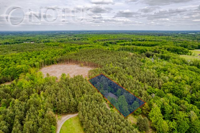 Działka budowlana Radziejowice, ul. Do Lasu. Zdjęcie 4