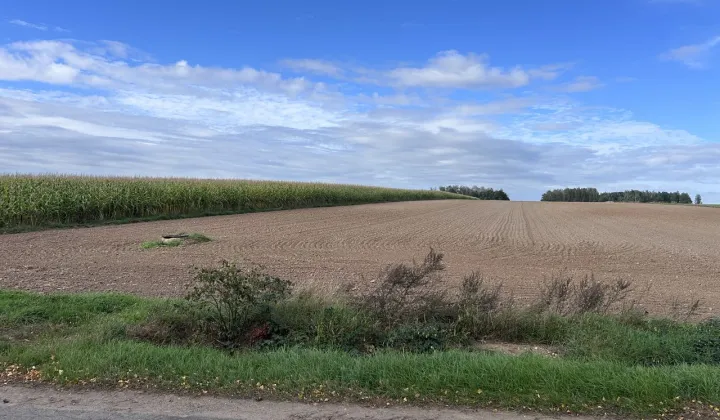 Działka rolno-budowlana Wola Zambrzycka