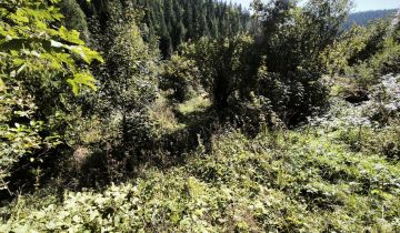 Działka budowlana Zasadne