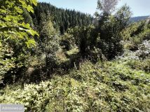 Działka budowlana Zasadne. Zdjęcie 1