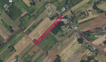 Działka rolna Feliksów