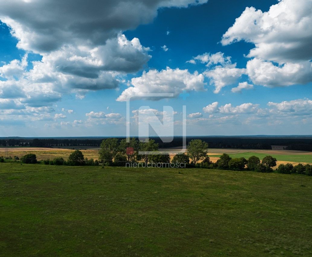 Działka budowlana Jarnatów. Zdjęcie 5