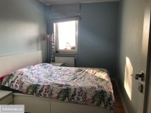 Mieszkanie 2-pokojowe Oleśnica, ul. Brzozowa. Zdjęcie 2