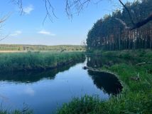 Działka budowlana Brodnica. Zdjęcie 1
