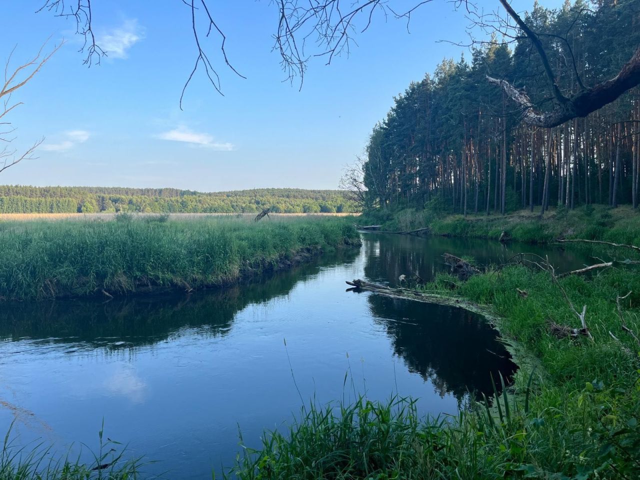 Działka budowlana Brodnica. Zdjęcie 2