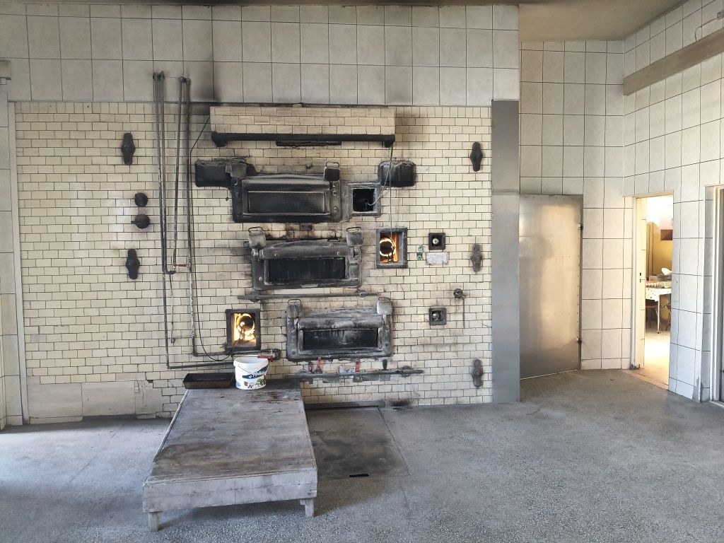 Działka inwestycyjna Krasocin. Zdjęcie 5
