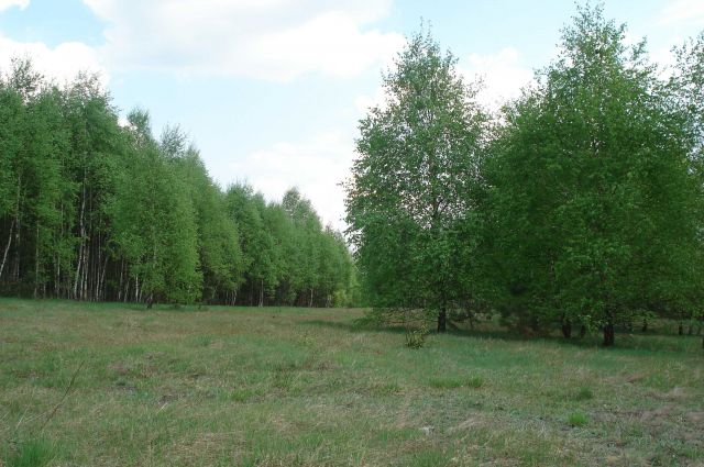 Działka budowlana Żądłowice. Zdjęcie 1