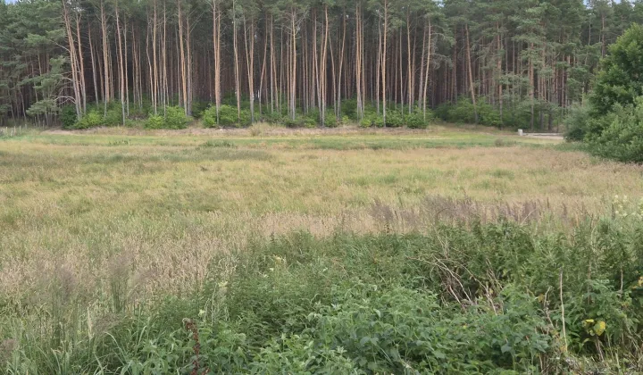 Działka budowlana Piotrowice, ul. Wrzosowa