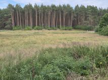 Działka budowlana Piotrowice, ul. Wrzosowa