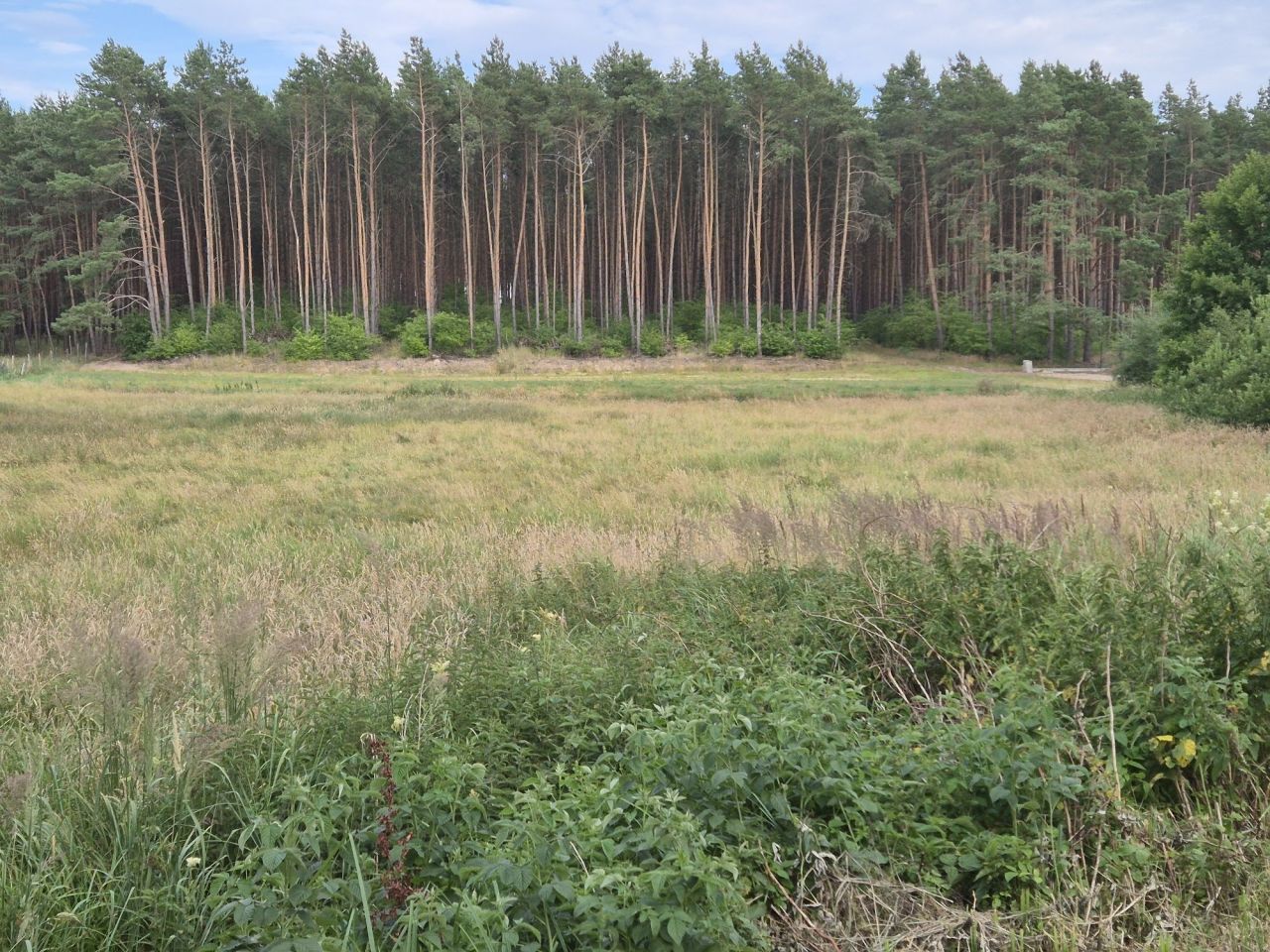 Działka budowlana Piotrowice, ul. Wrzosowa