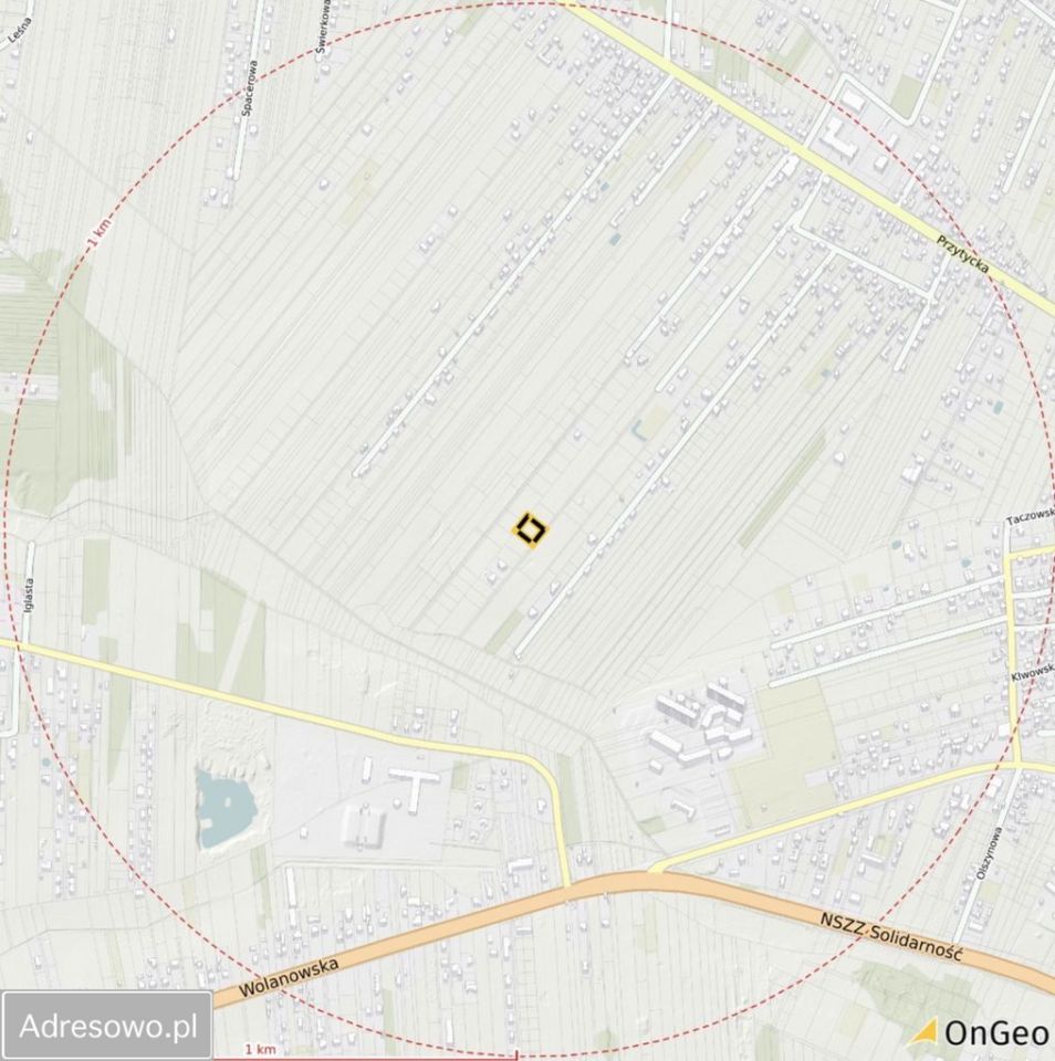 Działka rolno-budowlana Bielicha, ul. Aroniowa. Zdjęcie 3