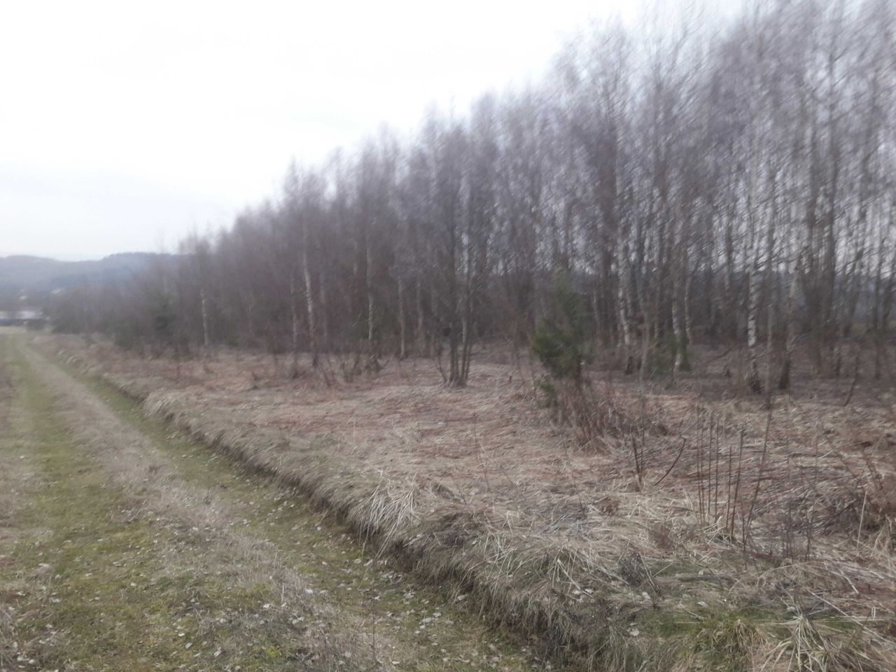 Działka rekreacyjna Hucisko Nienadowskie. Zdjęcie 3