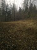 Działka leśna Świnna Komarnik, ul. Komarnik. Zdjęcie 3