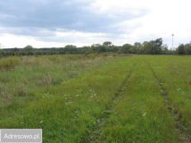 Działka rolna Wrzelów. Zdjęcie 1