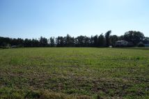 Działka siedliskowa Skoczów. Zdjęcie 2